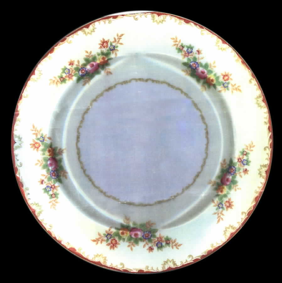 EMJ19 Dinner Plate by Embassy (Japan)-1