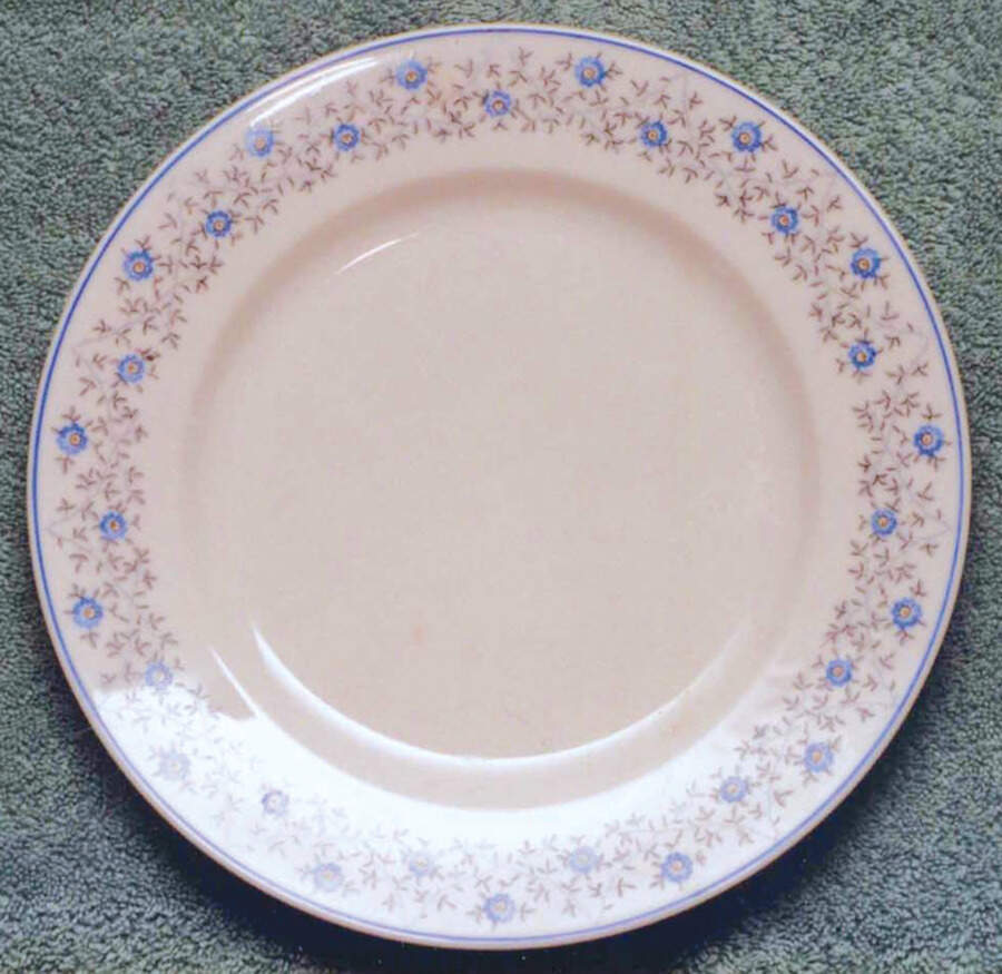 08035 Dinner Plate by Eschenbach-1