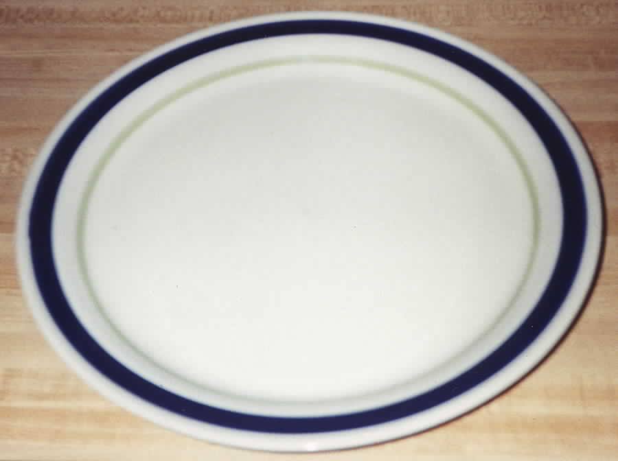 ENT1 Dinner Plate by Encompass-1