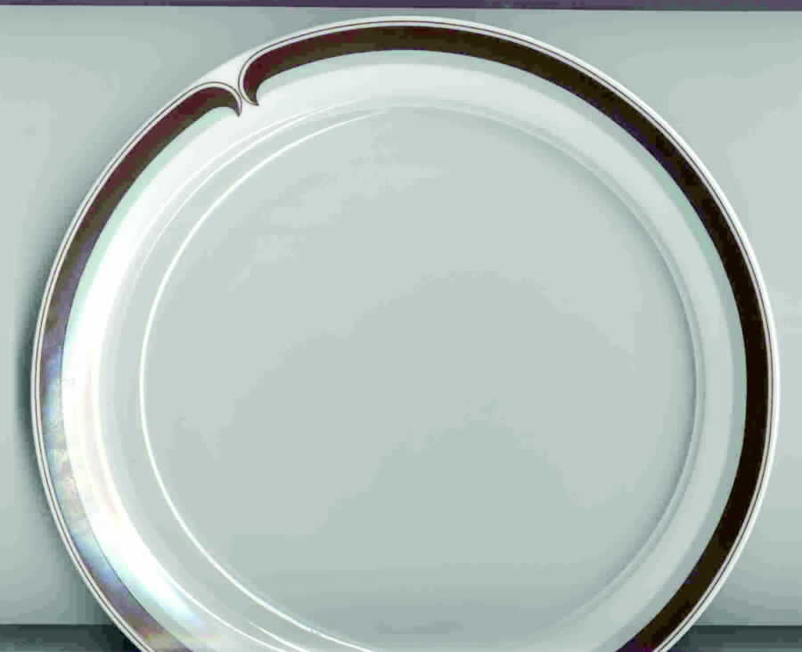ESC130 Dinner Plate by Eschenbach-1