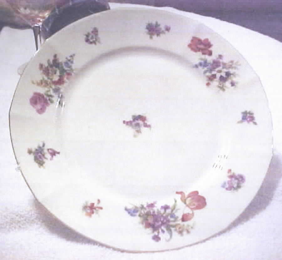 EAM38 Dinner Plate by E & A Muller-1
