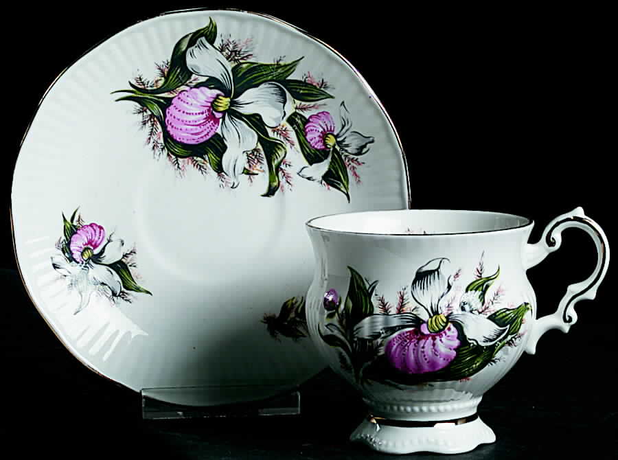 Canadian Provincial Flowers Footed Cup & Saucer Set by Elizabethan-1