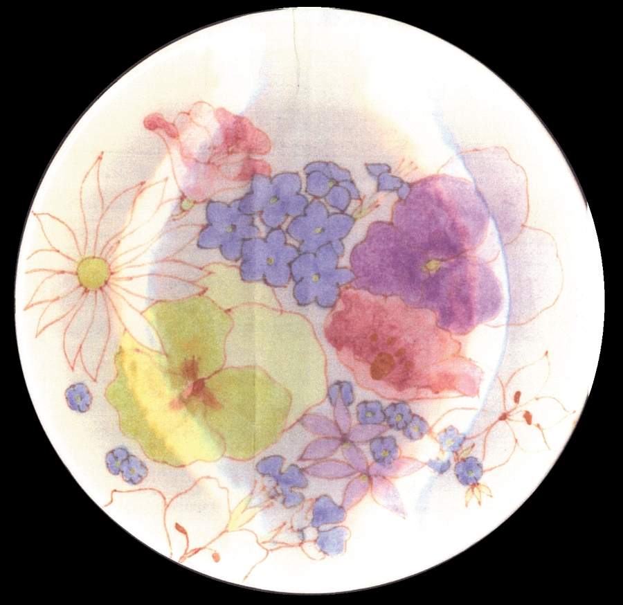 167 Dinner Plate by Ernestine-1