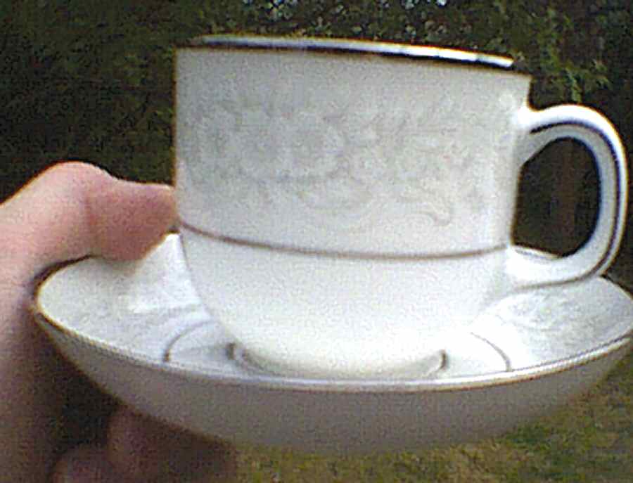 Hannover Flat Cup & Saucer Set by Eschenbach-1