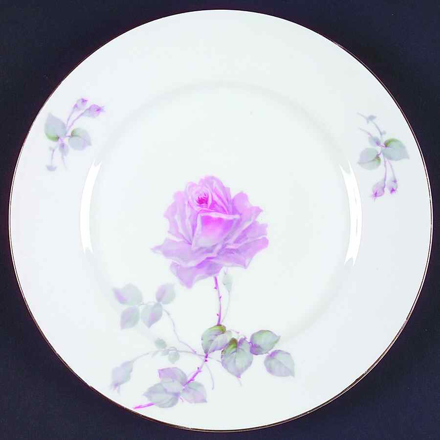 EAM39 Dinner Plate by E & A Muller-1