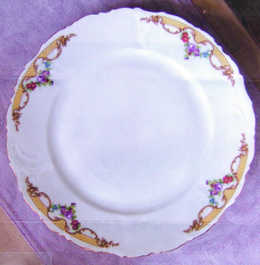 EPI152 Dinner Plate by Epiag-1