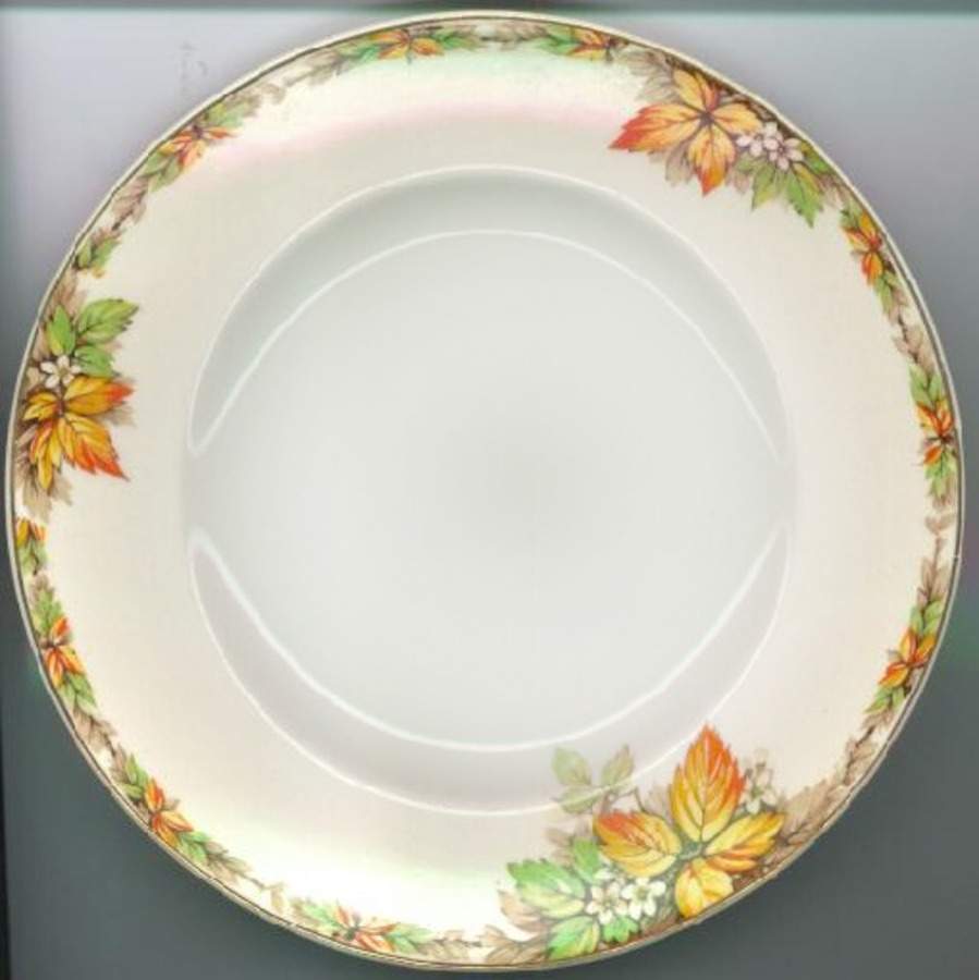 EML9 Dinner Plate by Empire Porcelain -1