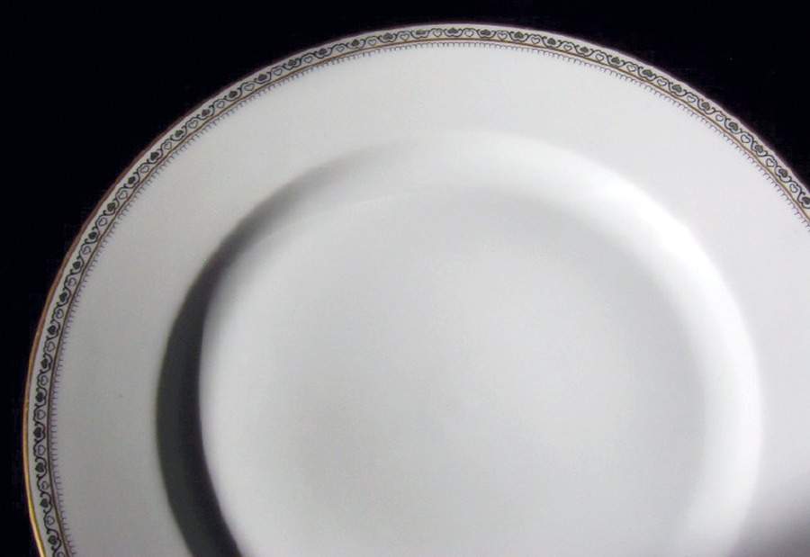 EAM40 (NOVERGE) Dinner Plate by E & A Muller-1