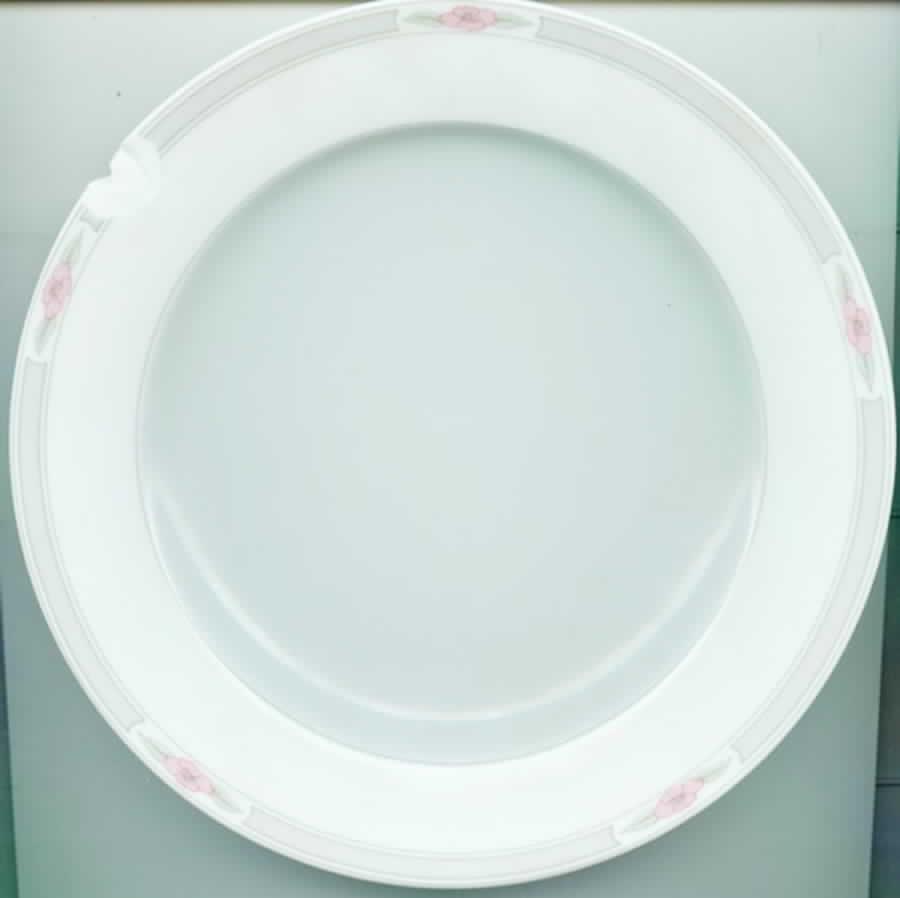 ESC139 Dinner Plate by Eschenbach-1