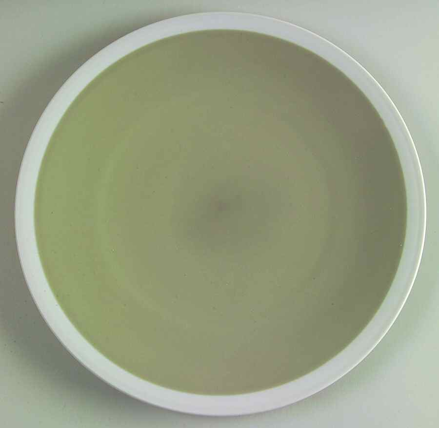 Cafe Olive Dinner Plate by Epoch-1