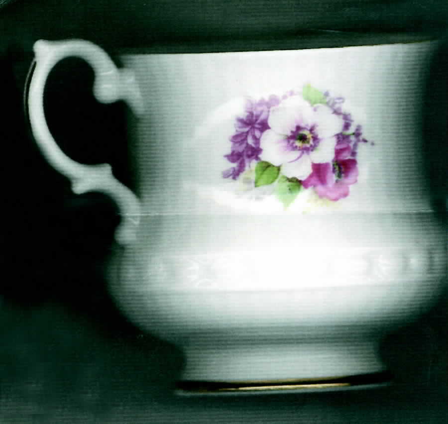 Royale Garden Footed Cup by England-1