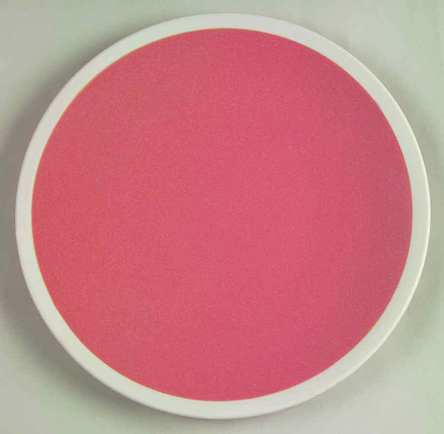 Cafe Mango Dinner Plate by Epoch-1