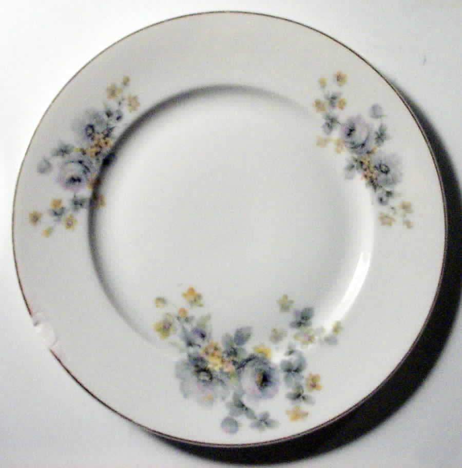 Epi271 Dinner Plate by Epiag-1