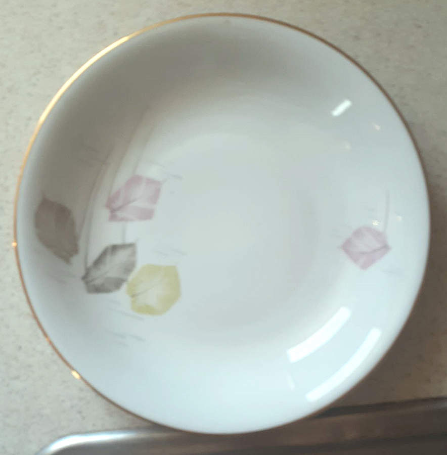 21053 Dinner Plate by Edelstein-1