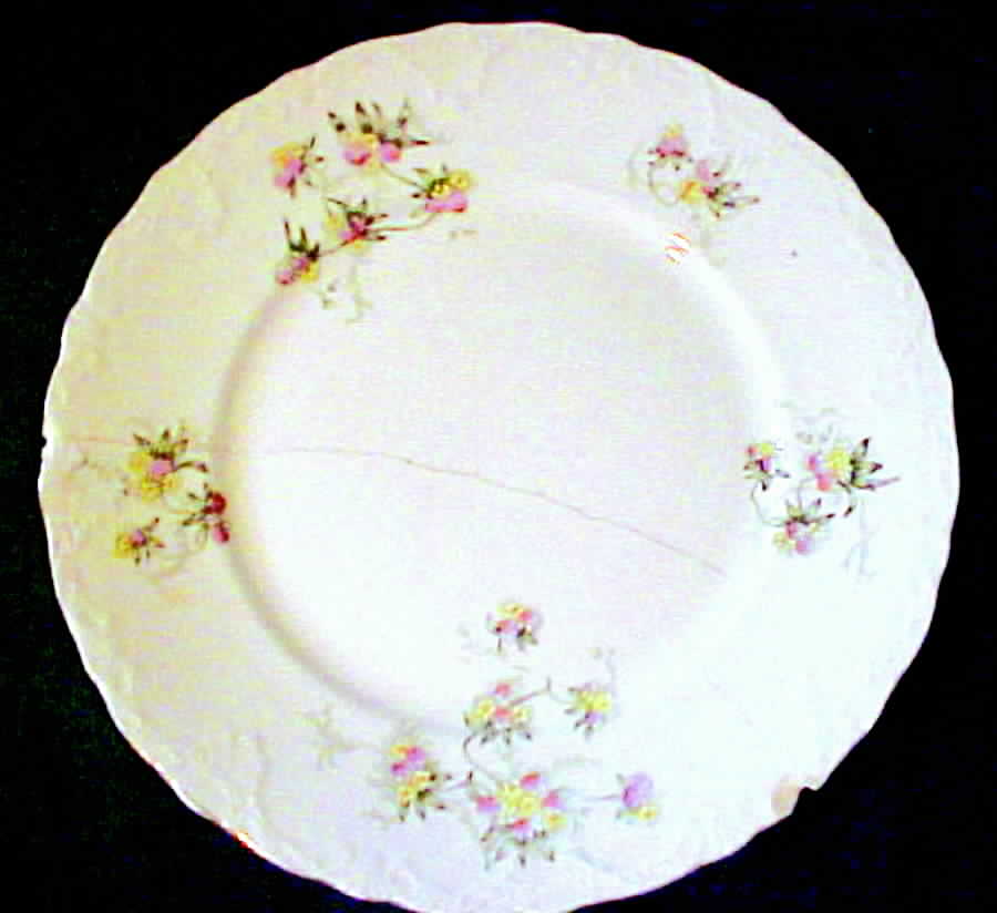 EEP2 Dinner Plate by East End-1