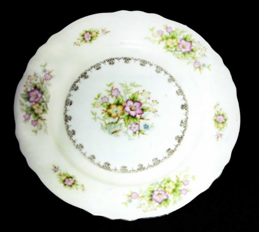 EMJ21 Dinner Plate by Embassy (Japan)-1