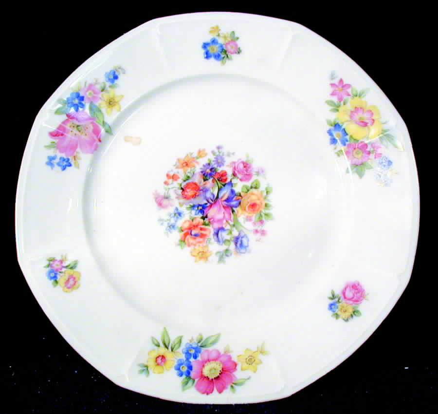 EPI276 Dinner Plate by Epiag-1