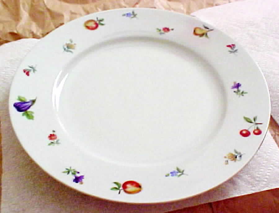ESC160 Dinner Plate by Eschenbach-1
