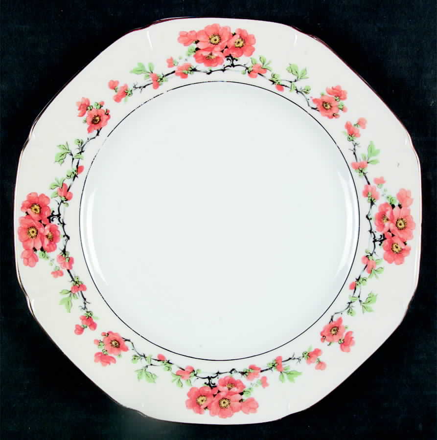 7213 Dinner Plate by Epiag-1