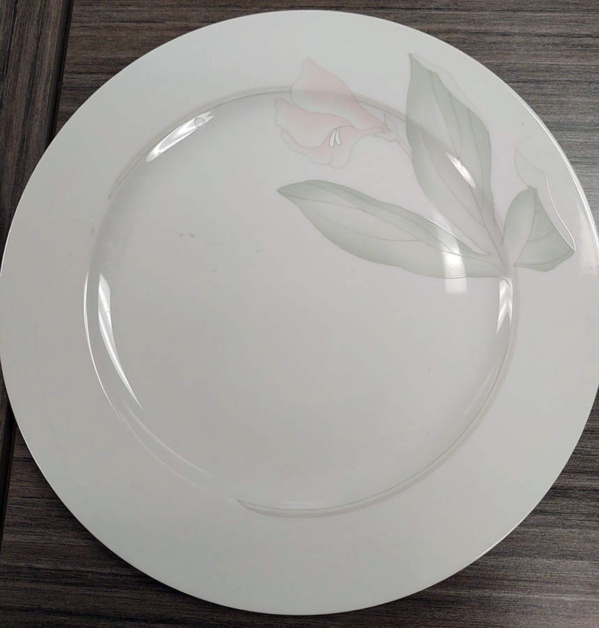 ESC163 Dinner Plate by Eschenbach-1