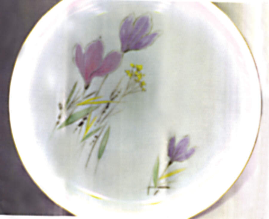 W2187 Dinner Plate by Eschenbach-1