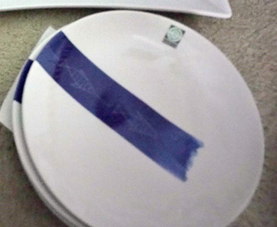 Blue Fish Dinner Plate by Essence-1