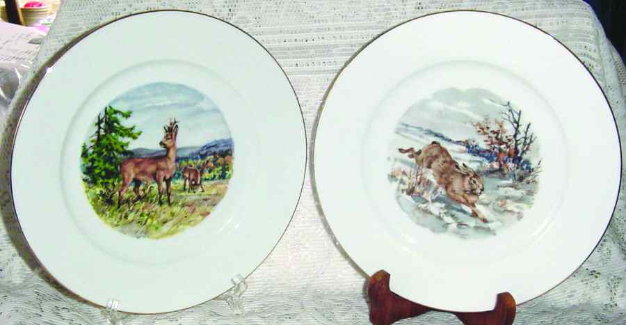 ESC166 Dinner Plate by Eschenbach-1