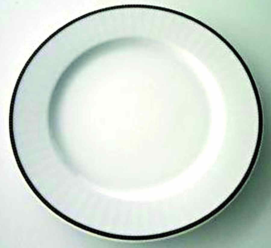 ESC171 Dinner Plate by Eschenbach-1