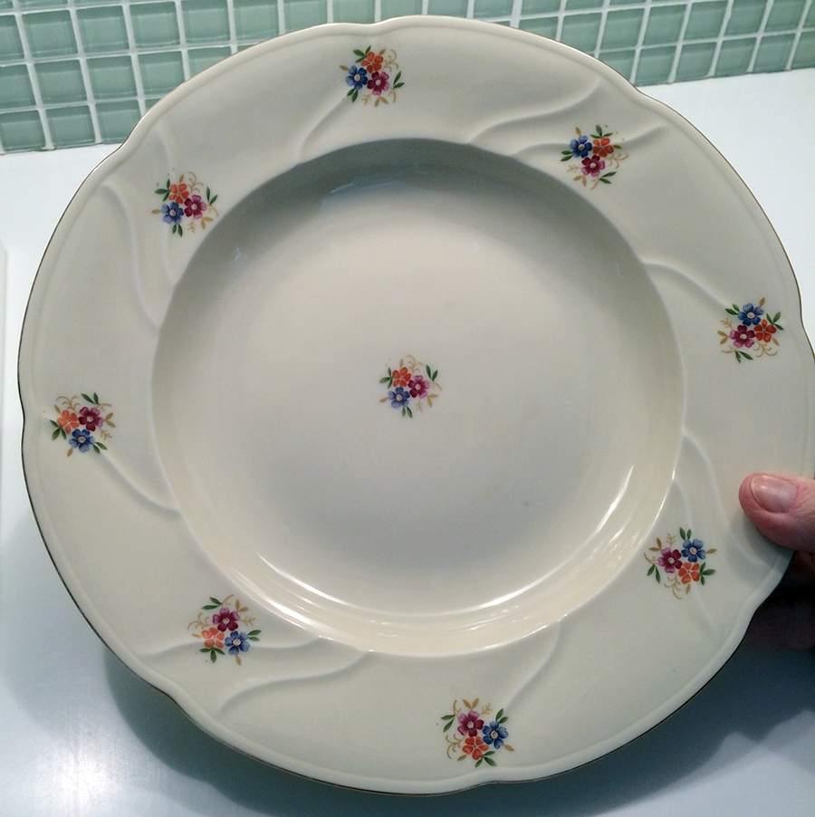 ESC173 Dinner Plate by Eschenbach-1