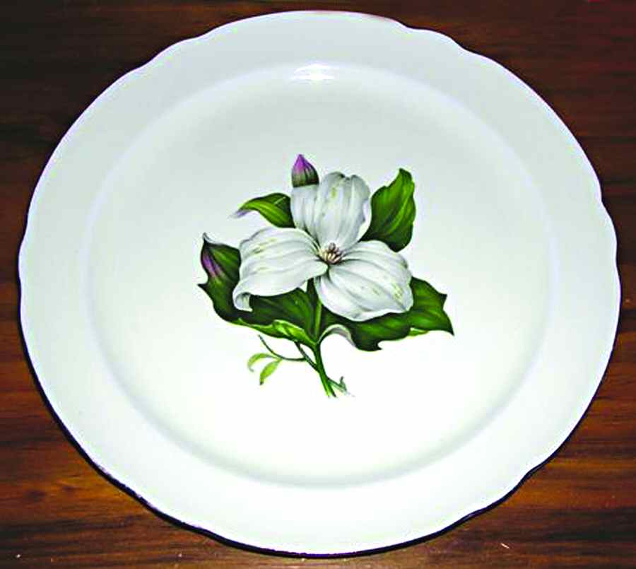 EAN27 Dinner Plate by Eastern China -1