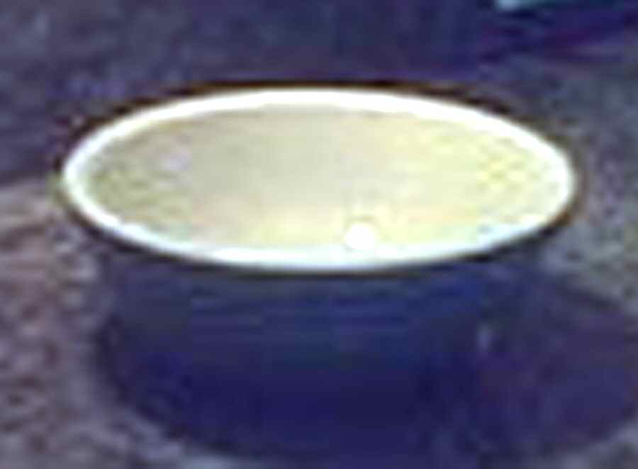 Tulip Time Coupe Cereal Bowl by Epoch-1