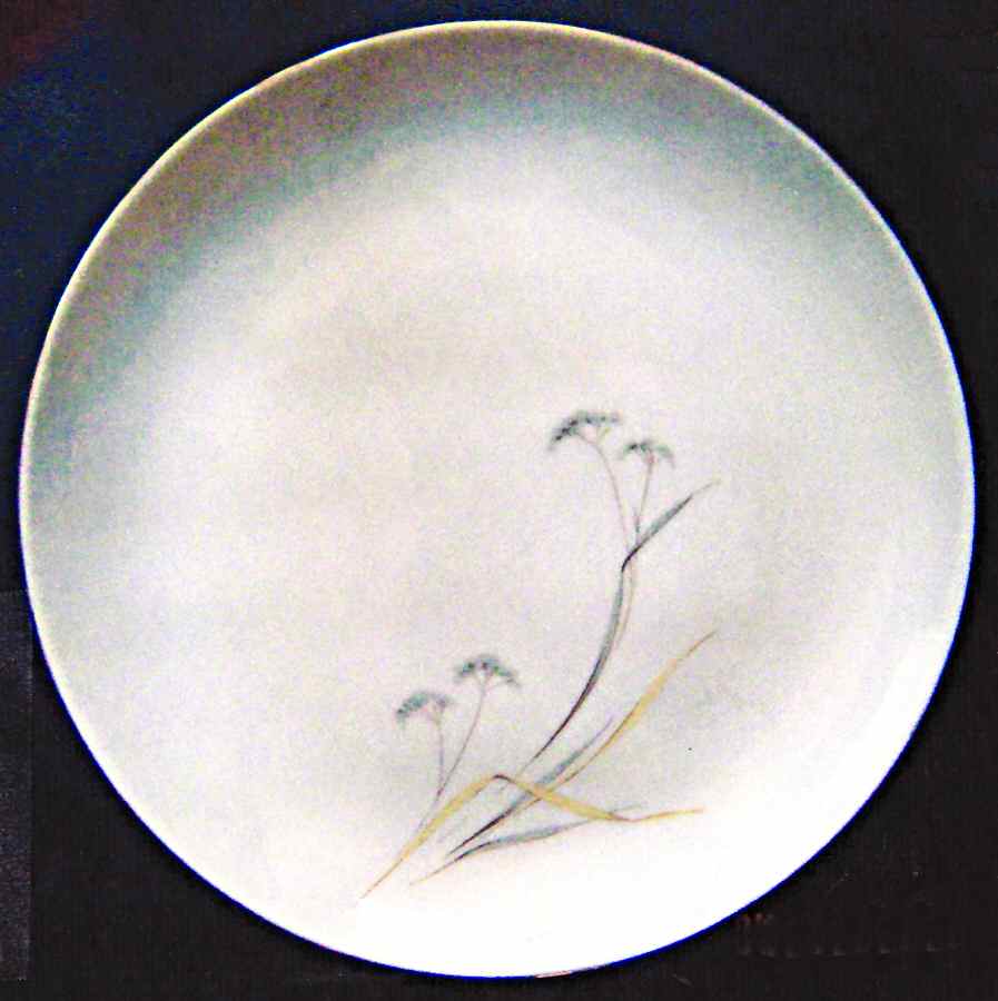ESC178 Dinner Plate by Eschenbach-1