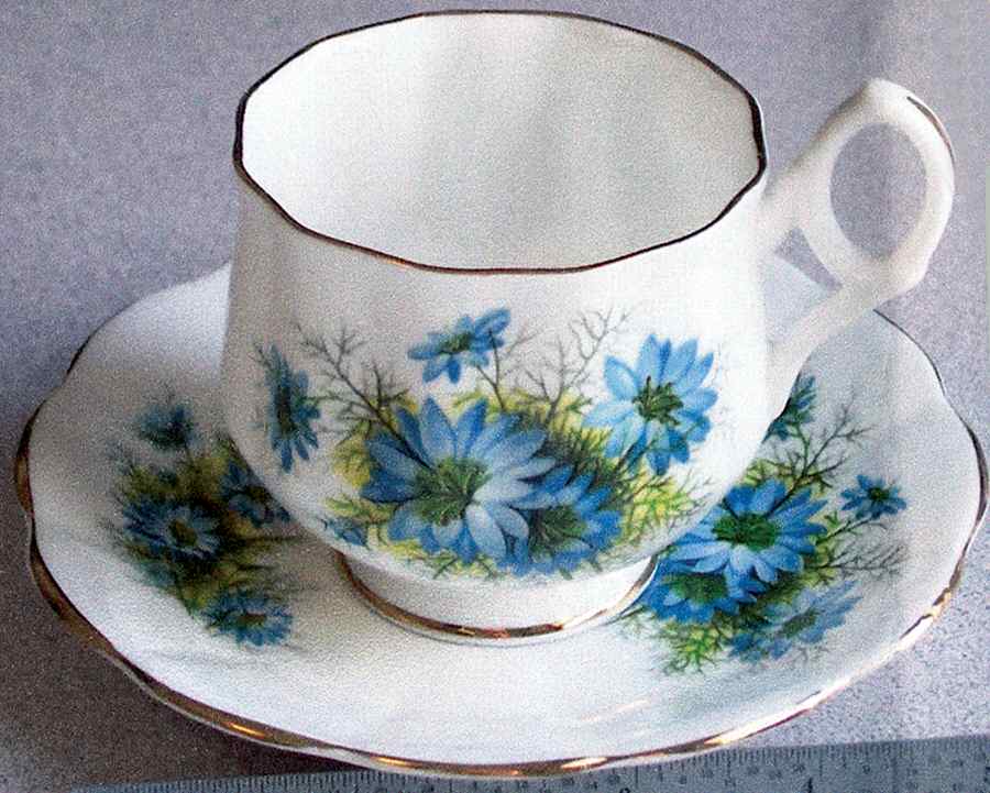 RIA120 Footed Cup & Saucer Set by Rosina-Queens-1