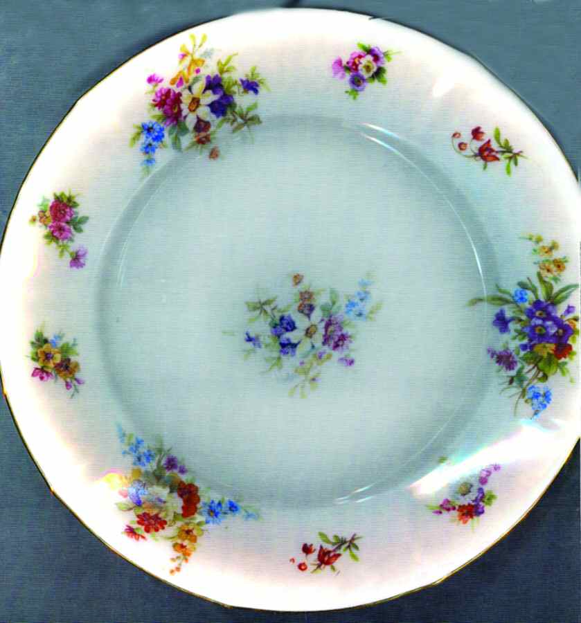 EAM47 Dinner Plate by E & A Muller-1