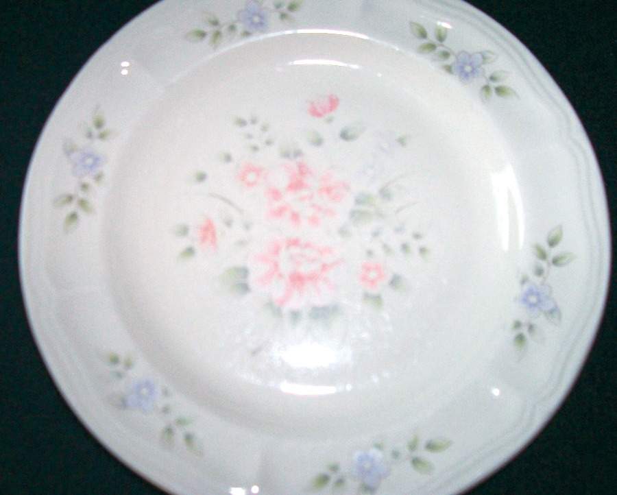 ETC1 Dinner Plate by Elegant Touch Co-1