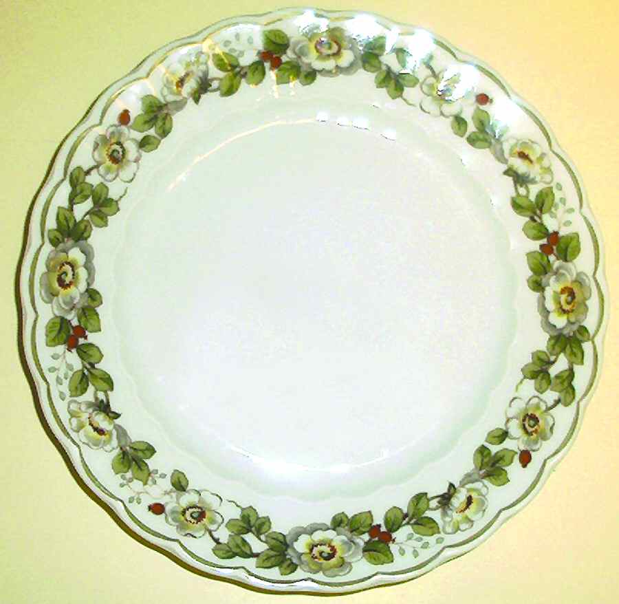 ESC185 Dinner Plate by Eschenbach-1