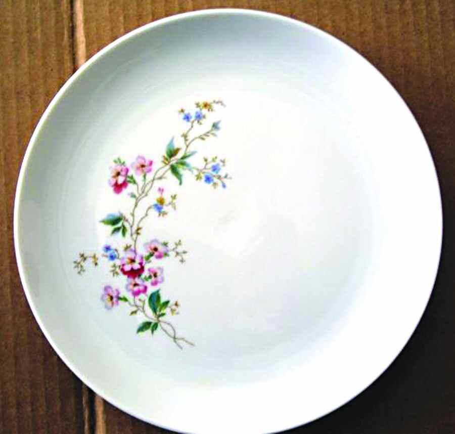 ESC190 Dinner Plate by Eschenbach-1