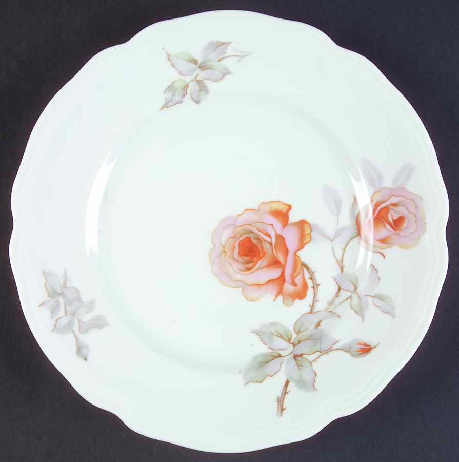 EAM48 Dinner Plate by E & A Muller-1