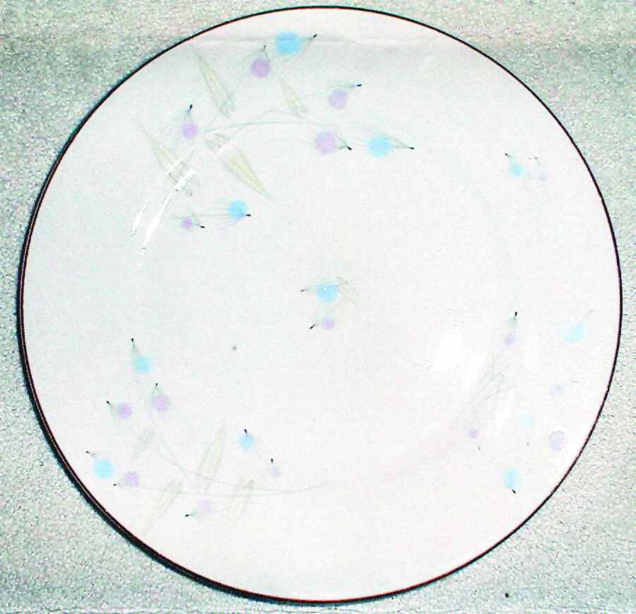 Somerset Dinner Plate by Edelstein-1