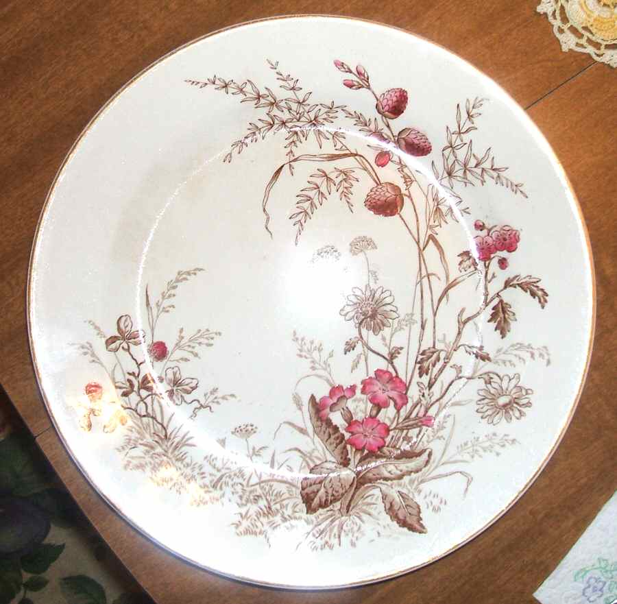 Daphne Dinner Plate by John Edwards-1