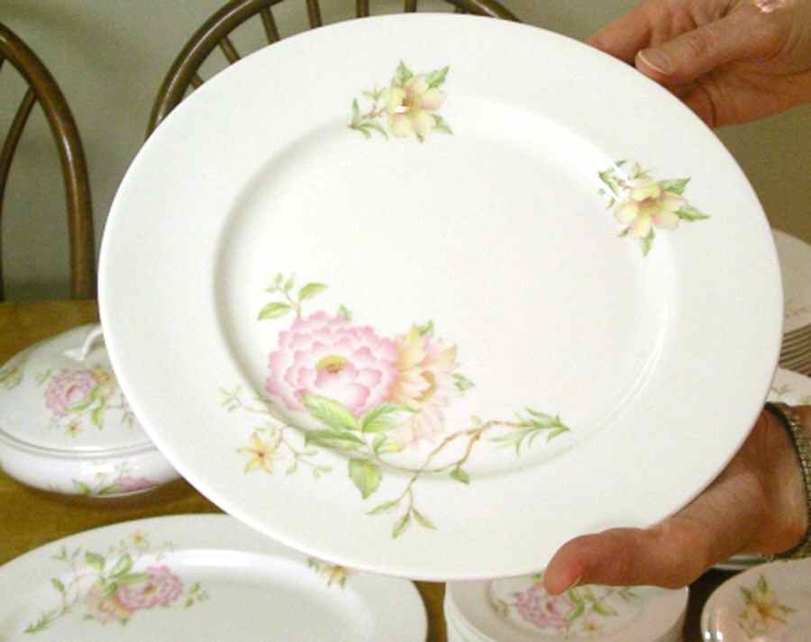 SFI3 Dinner Plate by Springfield-1