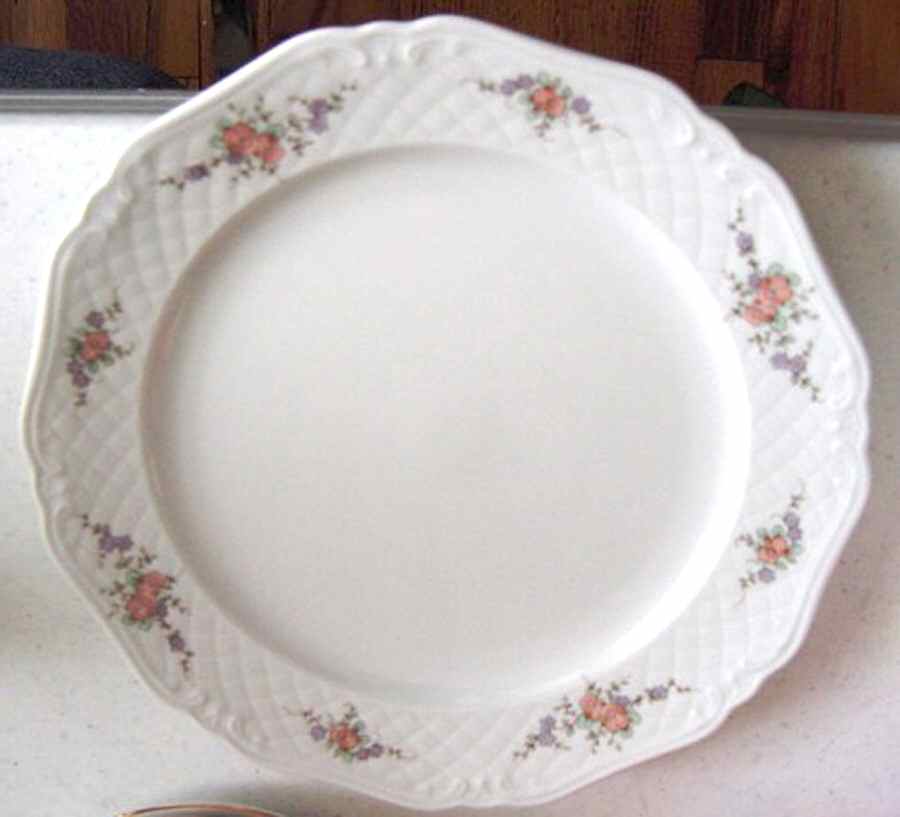 ESC214 Dinner Plate by Eschenbach-1