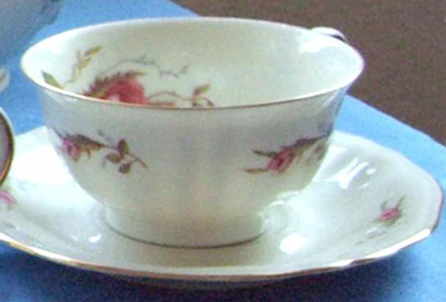Moosrose Footed Cup & Saucer Set by Winterling - Bavaria-1