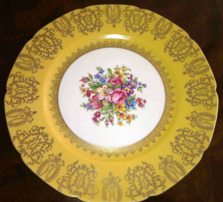 EPI346 Dinner Plate by Epiag-1