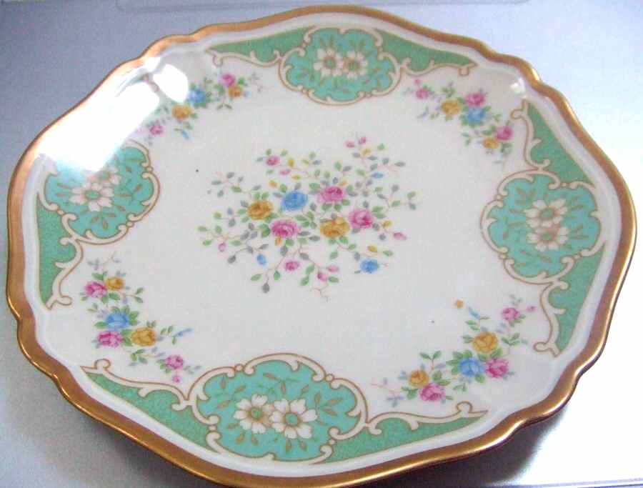 ESC218 Dinner Plate by Eschenbach-1