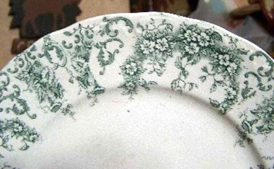 Venus Dinner Plate by England-1