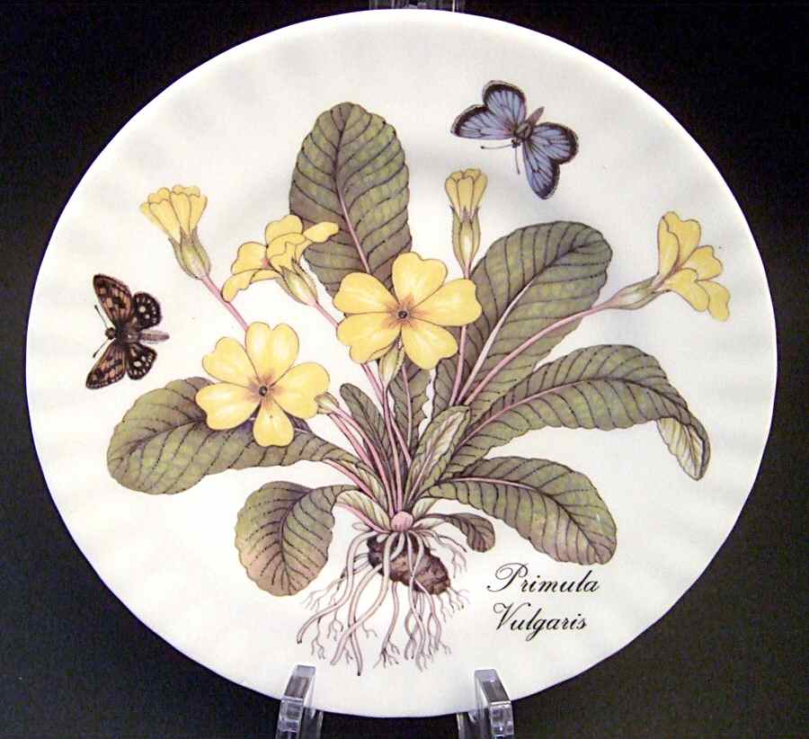 ENG112 Salad Plate by England-1