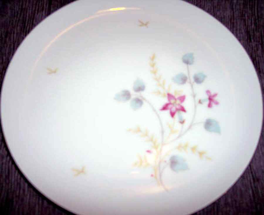ESC226 Dinner Plate by Eschenbach-1