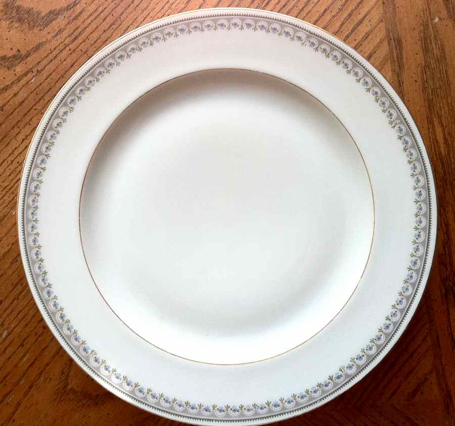 EPI360 Dinner Plate by Epiag-1