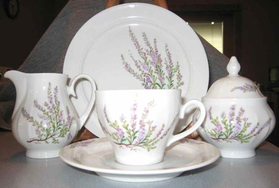 ESC228 Flat Cup & Saucer Set by Eschenbach-1
